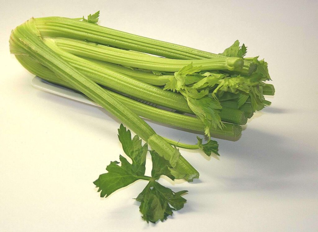 celery, vegetables, healthy-74333.jpg